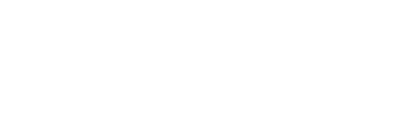BLUEPRINT PARACELSUS CLINIC 伯瑞蓝图品牌标志